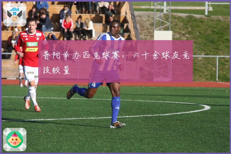 普陀举办匹克球赛，六十余球友竞技较量