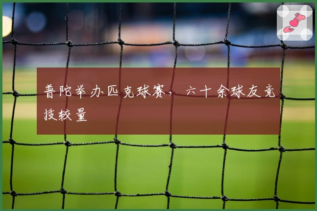 普陀举办匹克球赛，六十余球友竞技较量